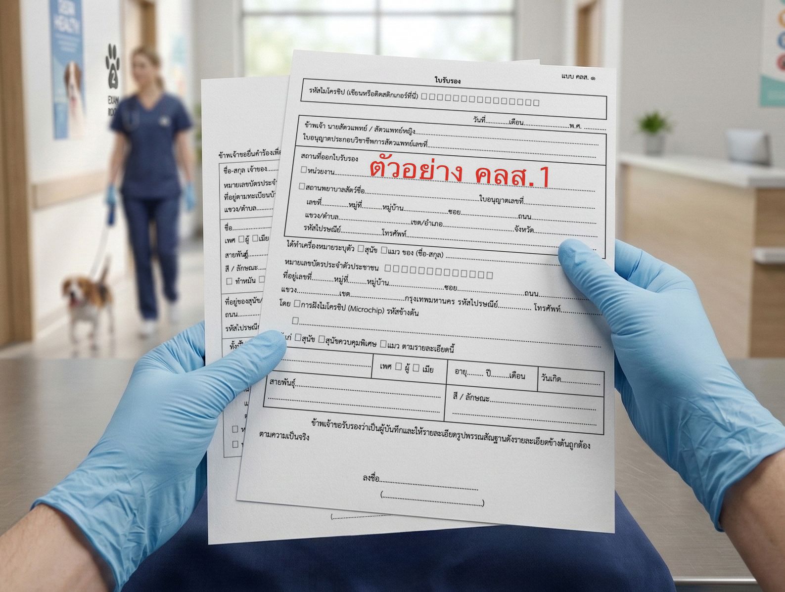 Official government forms and documents