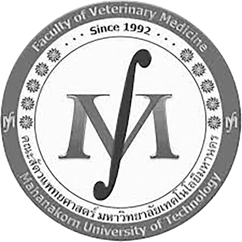 Mahanakorn University of Technology