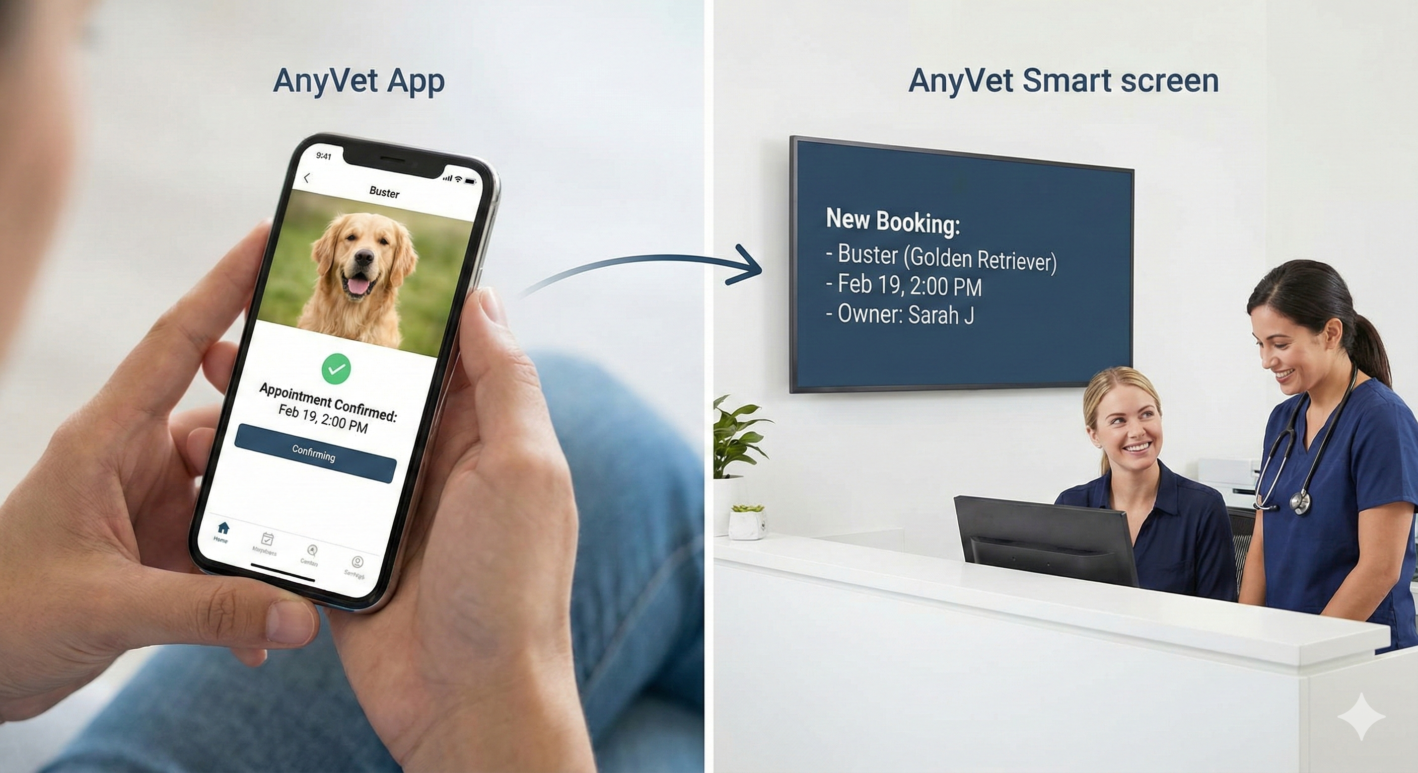 Modern Veterinary Hospital